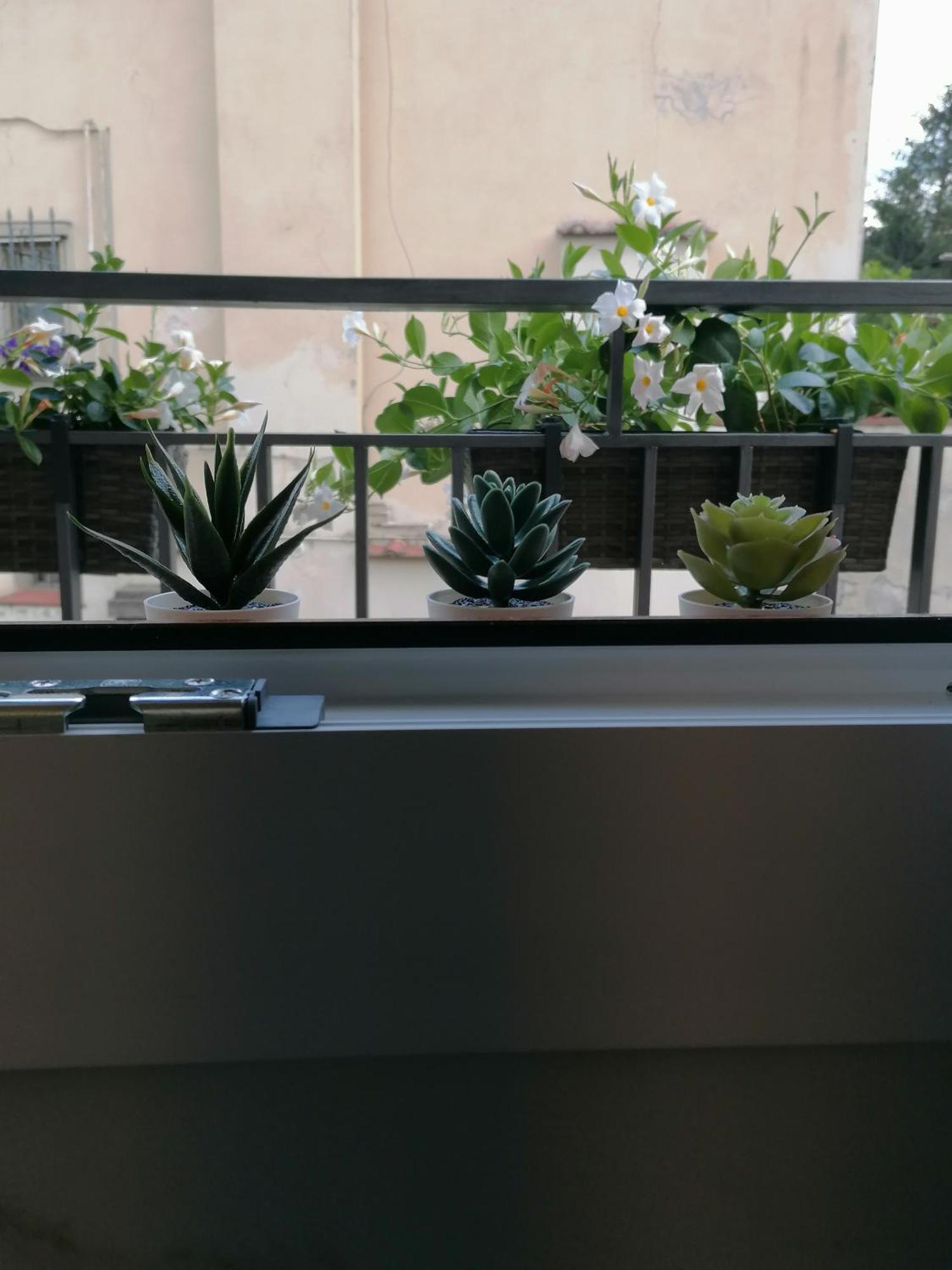 L'Angolo Di Firenze - The Florence Corner 외부 사진